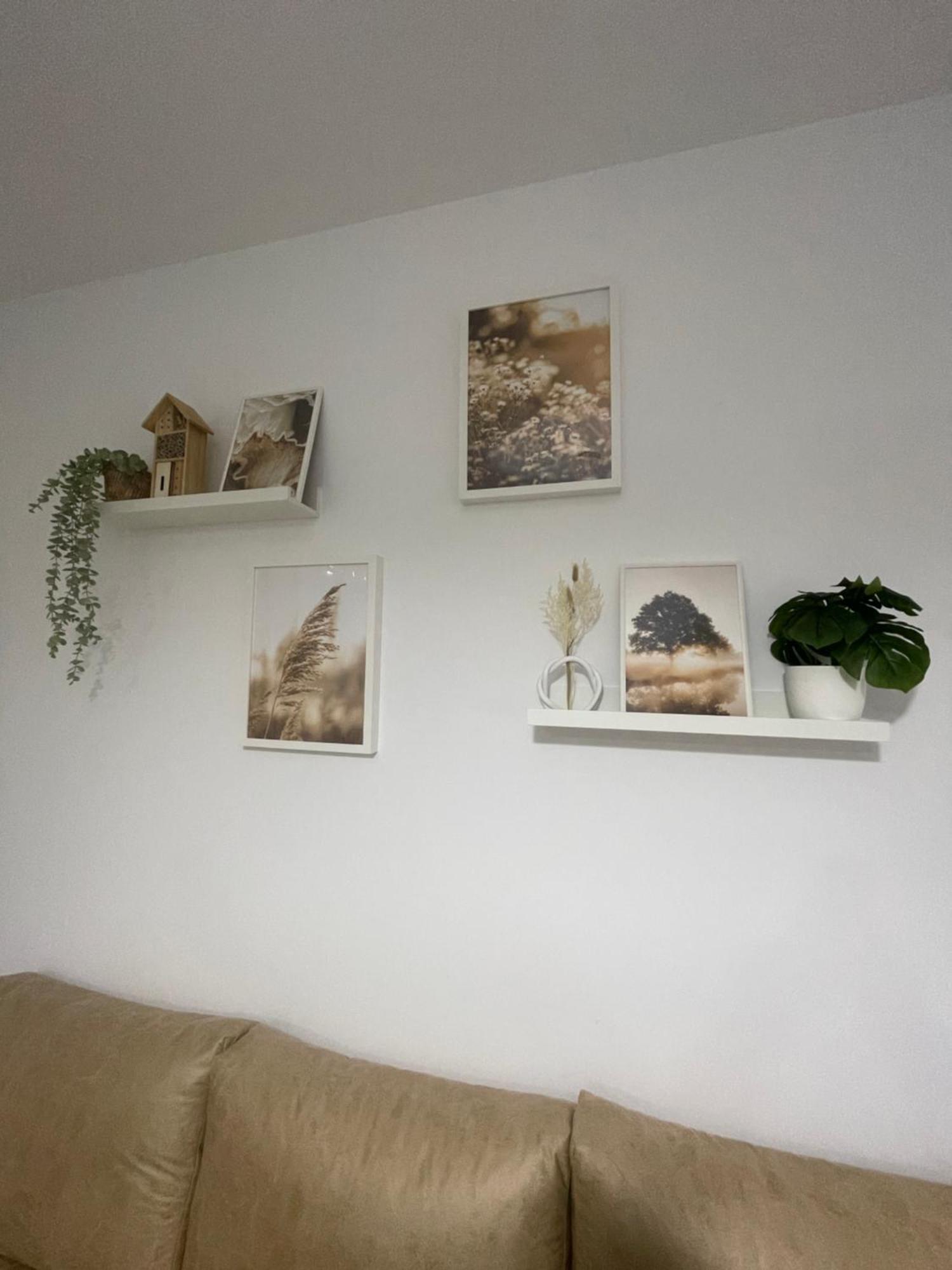 Apartamento Vitelio カルモナ エクステリア 写真